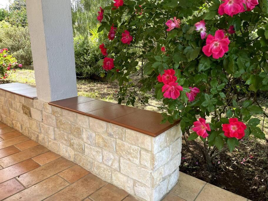 Rose Country Cassano delle Murge Exterior foto